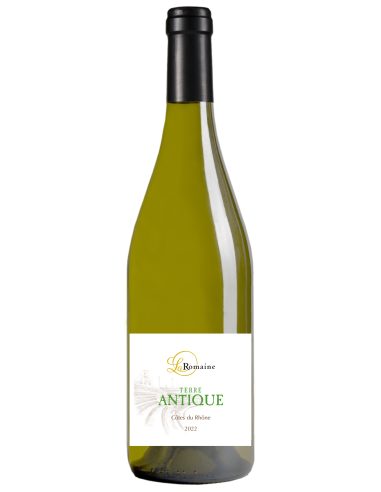 Terre Antique blanc 2024 - AOP Côtes du Rhône